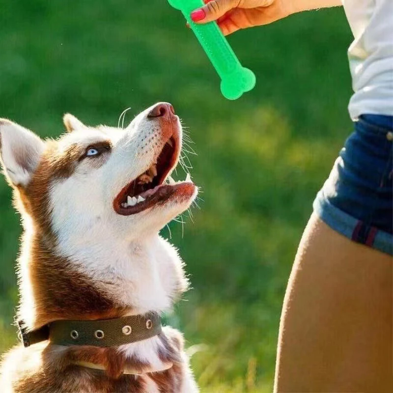 Teeth Cleaning Dog Chew Bone - 강아지용 초강력 뼈 모양 장난감, 공격적인