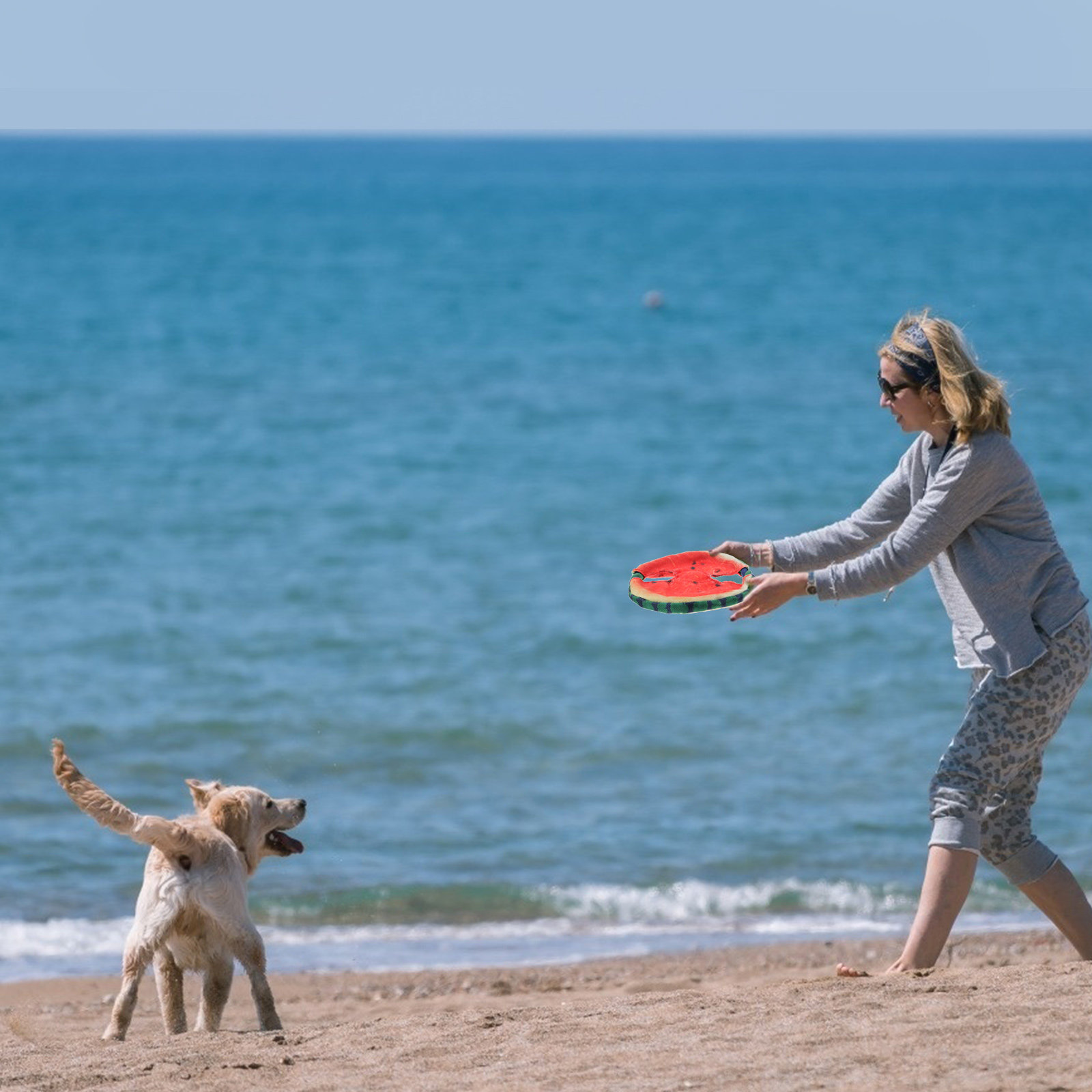 Flying Disc Dog Training Toy - 강아지용 플라잉 디스크, 물에 뜨는 디자인,