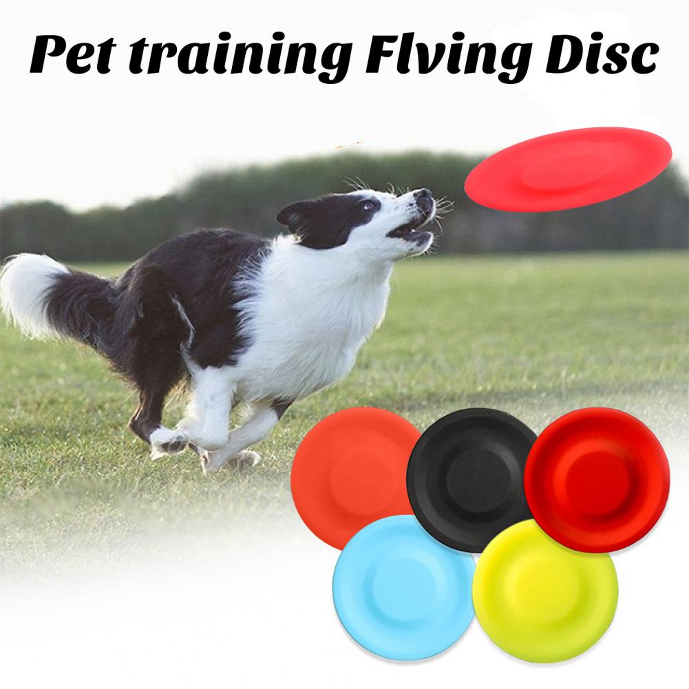 Flying Disc Dog Training Toy - 애완견 플라잉 디스크 장난감, 실리카 젤,