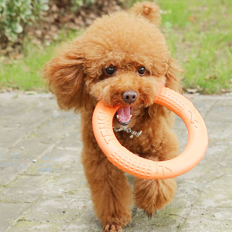 반려동물 플라잉 디스크 훈련 링 풀러, EVA 인터랙티 - Snuffle Mat For Dogs 리뷰 및 가격