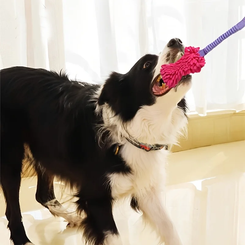 강하게 씹는 강아지들을 위한 내구성이 뛰어난 장난감 - - Dog Rope Toy Aggressive Chewers 리뷰 및 가격