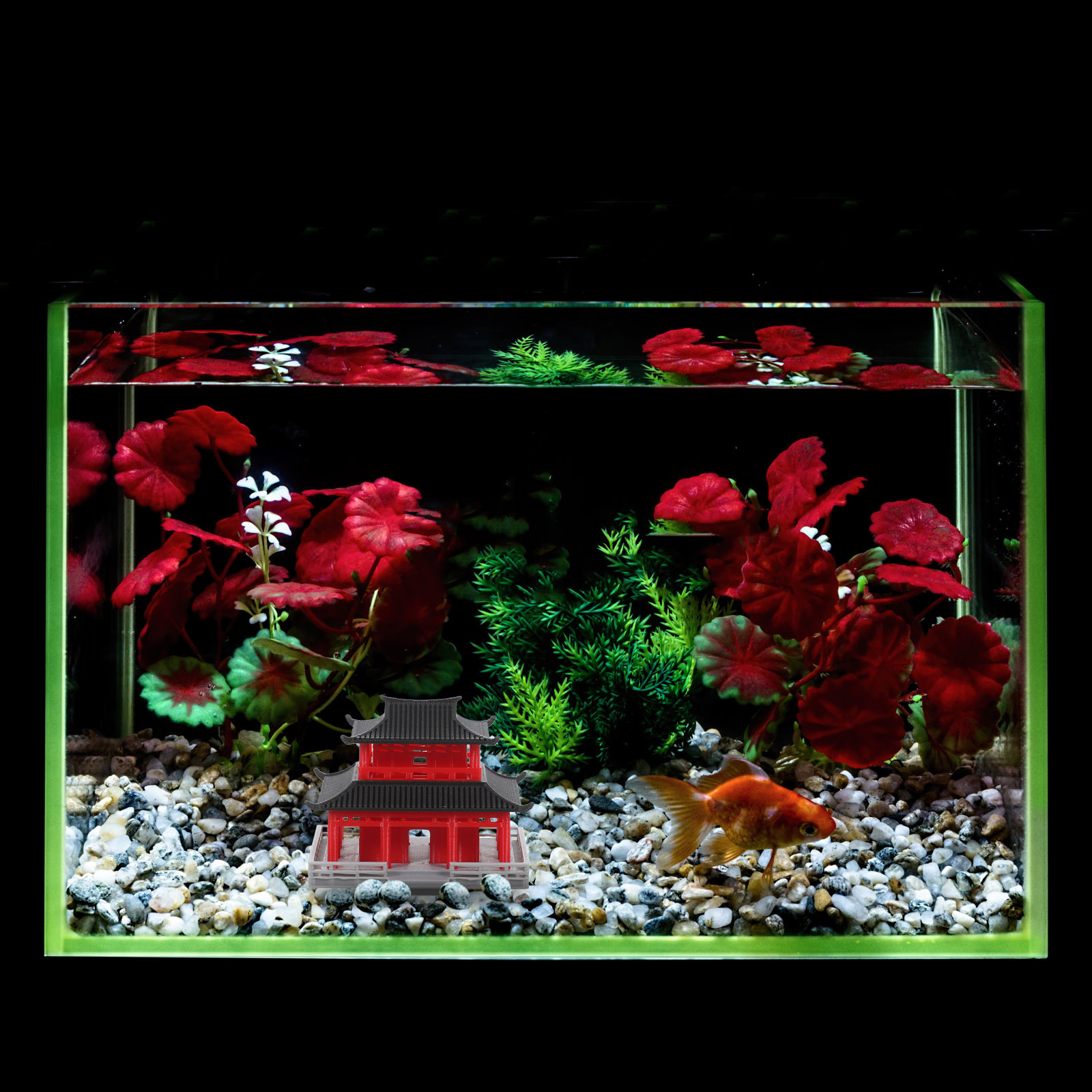 중국 전통 스타일의 미니어처 정원 장식, 검은색과 빨간 - Aquarium 리뷰 및 가격