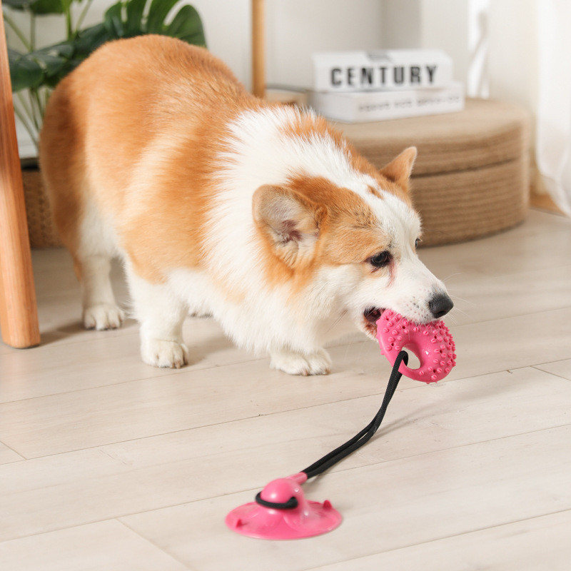 개 장난감 실리콘 흡입 컵 잡아 당김 대화 형 개 공  - Suction Cup Dog Tug Toy 리뷰 및 가격