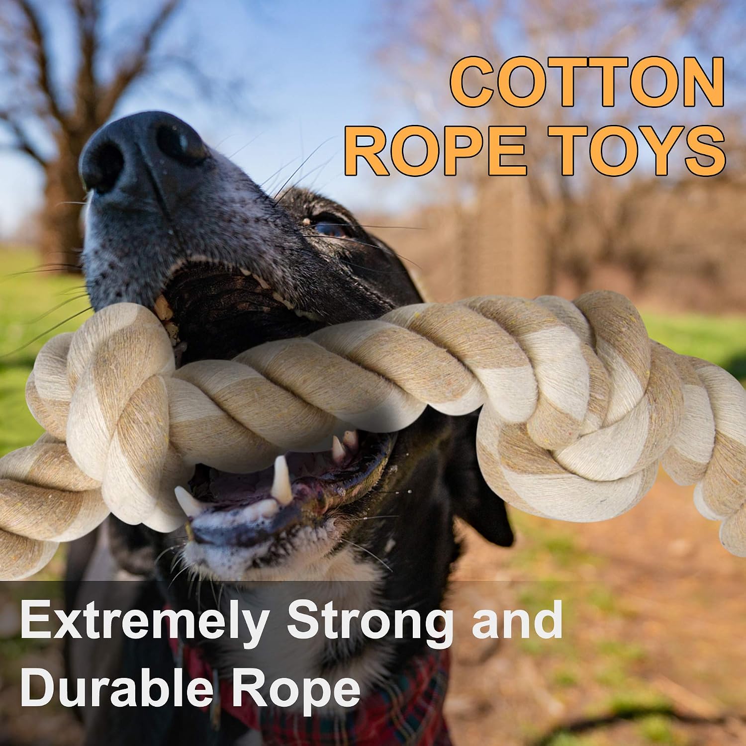 강한 씹는 힘을 가진 강아지, 대형견 및 중형견을 위한 - Dog Rope Toy Aggressive Chewers 리뷰 및 가격