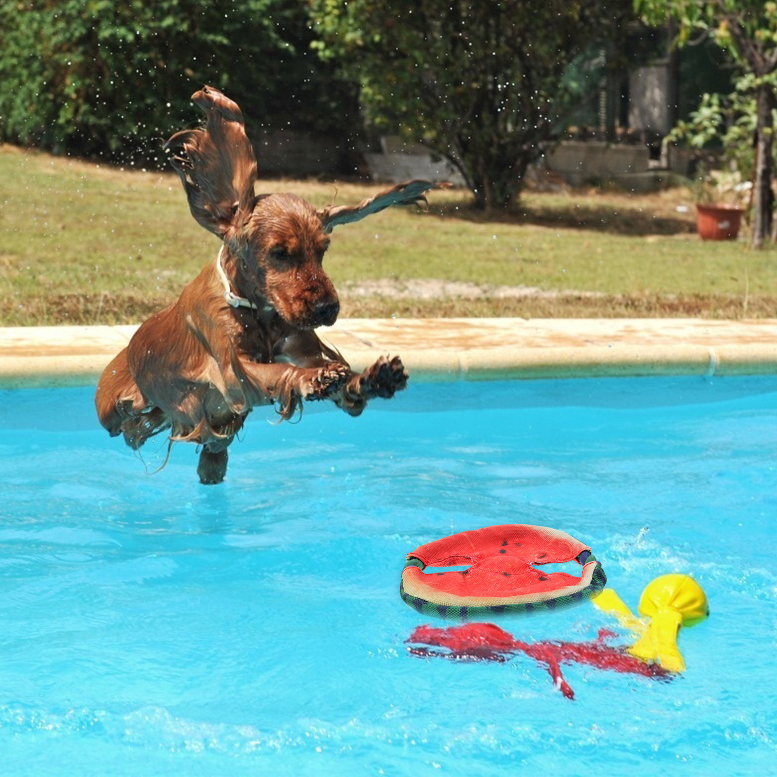 강아지용 플라잉 디스크, 물에 뜨는 디자인, 가벼운 무 - Flying Disc Dog Training Toy 리뷰 및 가격