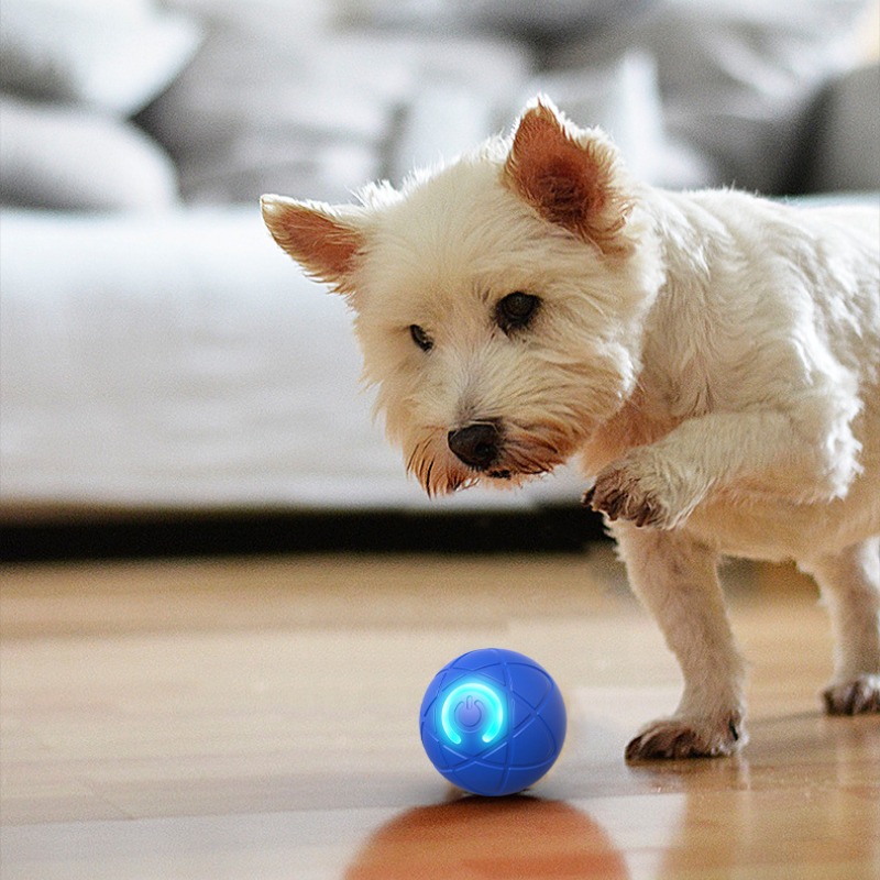 스마트 개 장난감 공 USB 자동 이동 튀는 공 개 장 - Suction Cup Dog Tug Toy 리뷰 및 가격