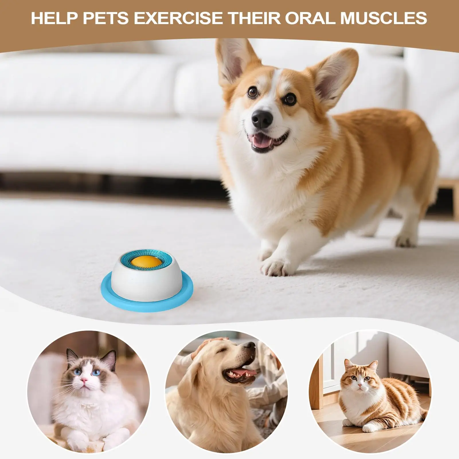 애완동물용 급식 용품, 강아지 간식 장난감, 퍼즐 장난 - Dog Puzzle Feeder Toy 리뷰 및 가격