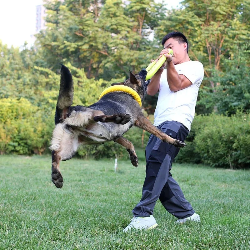 애완 동물 플라잉 디스크 EVA 개 훈련 링 풀러, 반 - Flying Disc Dog Training Toy 리뷰 및 가격