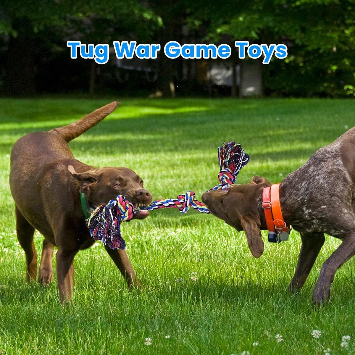 대형견에게 적합한 튼튼한 로프 장난감, 강한 씹는 힘을 - Dog Rope Toy Aggressive Chewers 리뷰 및 가격