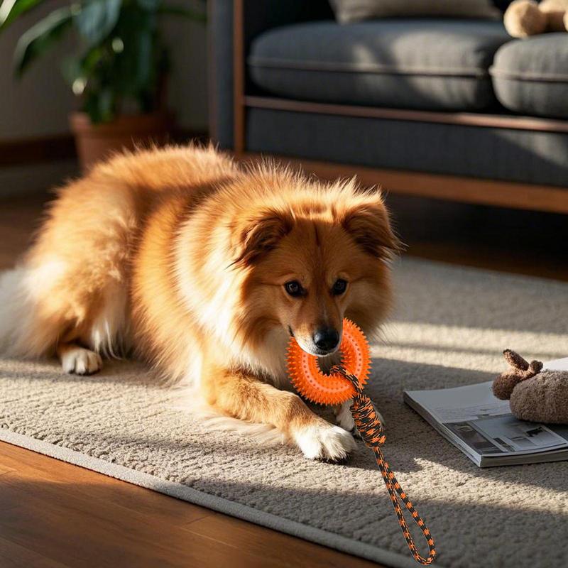 개를위한 삐걱 거리는 장난감 Chewers를위한 뾰족한 - Dog Rope Toy Aggressive Chewers 리뷰 및 가격
