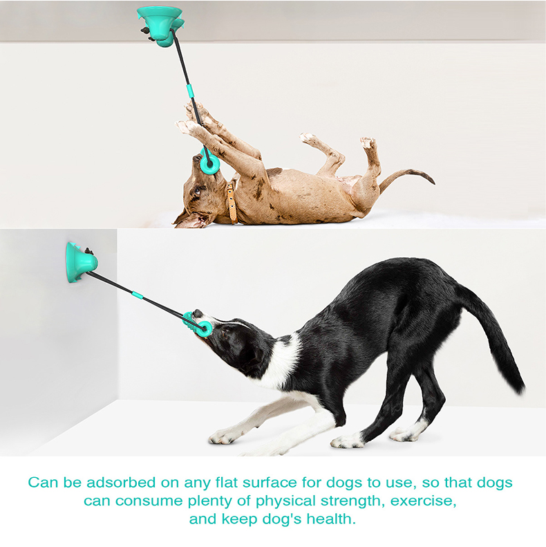 이중 흡착판 강아지 씹는 놀이용 로프 장난감, 파괴 불 - Suction Cup Dog Tug Toy 리뷰 및 가격