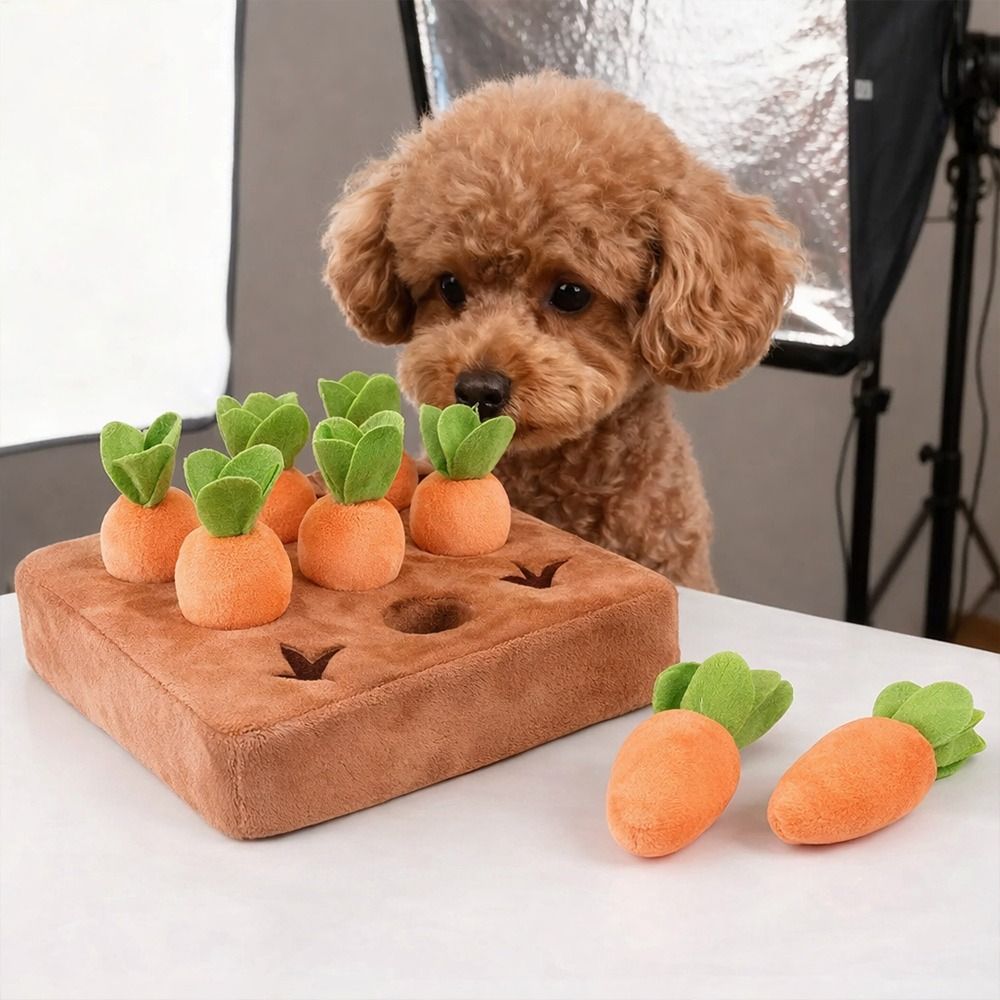 스트레스 해소 당근 스너플 매트, 탈부착 가능한 당근, - Snuffle Mat For Dogs 리뷰 및 가격