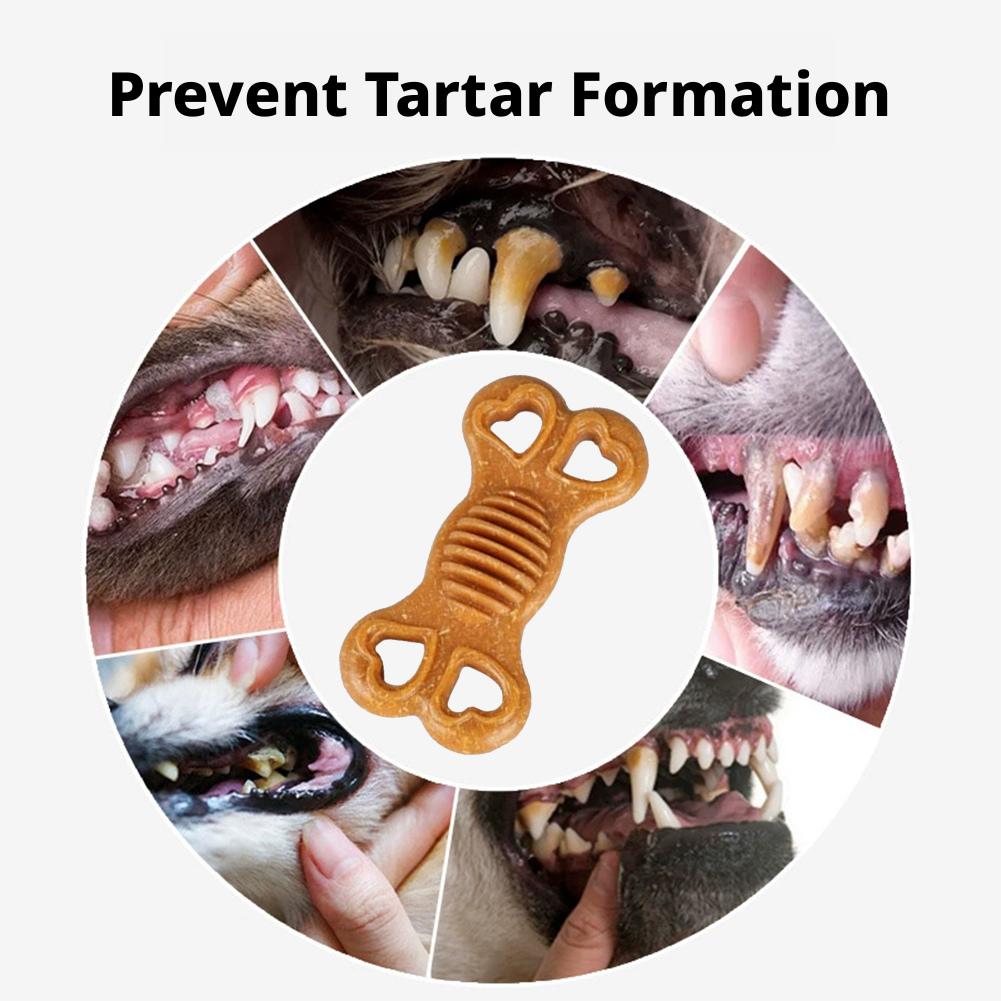 내구성이 뛰어난 강아지용 씹는 장난감, 뼈 모양, 강한 - Teeth Cleaning Dog Chew Bone 리뷰 및 가격